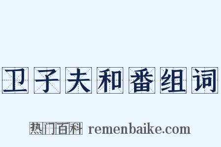 卫子夫和番组词是什么意思的图片